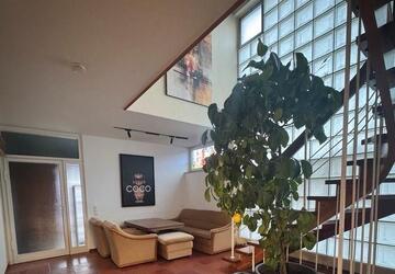 Wohnung Leipheim - 1 Zimmer, 24 m&sup2;, 470&euro; | Angebot:27612512