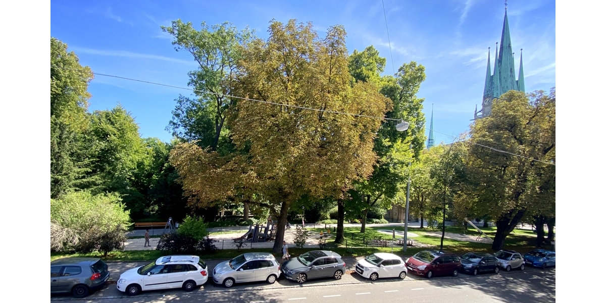Blick Richtung Park