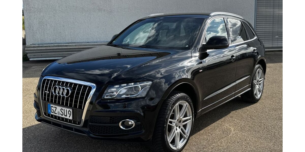 Audi Q5 250.000 km 10.999 &euro; Kötz 89359